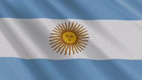 Videohive - Argentina Flag Animation - 47519938 - 47519938