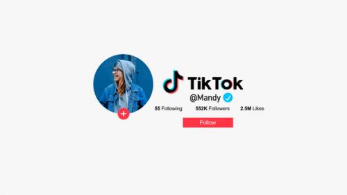 Videohive - Tiktok Promo - 47534523 - 47534523