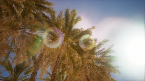 Videohive - Palm Trees Vintage Toned Perspective View to the Sky - 47558448 - 47558448