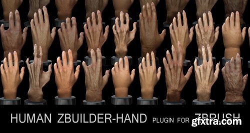 Human Zbuilder - Hand