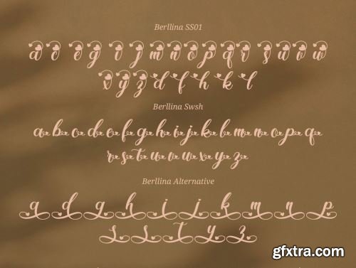 Berllina - Script Font Ui8.net