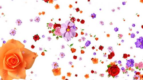 Videohive - Flowers Flying Seamless Loop Alpha V7 - 47564789 - 47564789