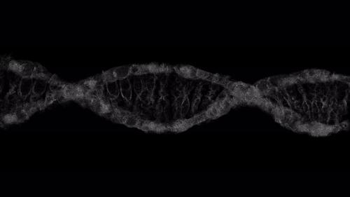 Videohive - DNA animation 4k video - 47563628 - 47563628