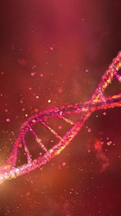 Videohive - Threedimensional DNA Strand in Virtual Space 3D Render - 47551315 - 47551315