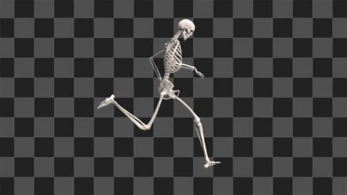 Videohive - Running Skeleton Looped - 47551995 - 47551995