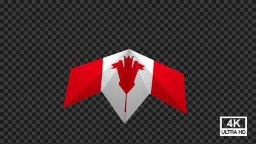 Videohive - Paper Airplane Of Canada Flag - 47547846 - 47547846