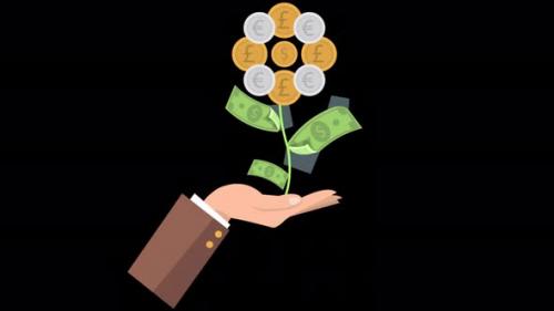 Videohive - Money Flower Coming Out Of Your Hand 4K Alpha Channel - 47576827 - 47576827