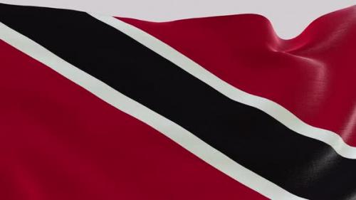 Videohive - Trinidad Fabric Flag - 47577500 - 47577500