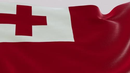 Videohive - Tonga Fabric Flag - 47577520 - 47577520