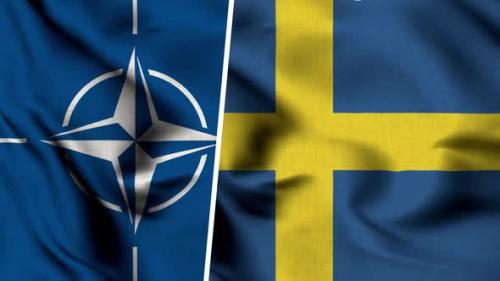 Videohive - Nato Flag And Flag Of Sweden - 47577793 - 47577793