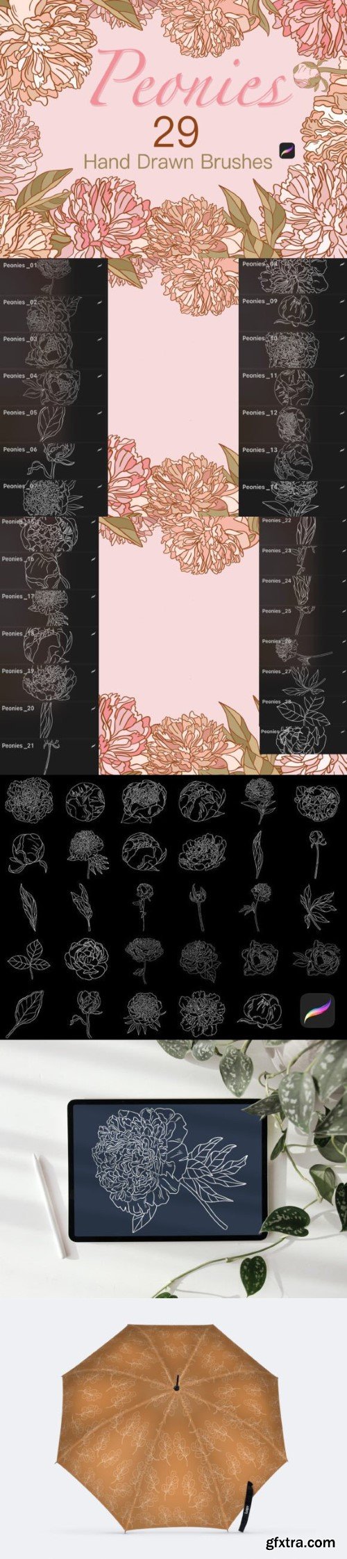 STAMP BRUSH PEONIES for PROCREATE