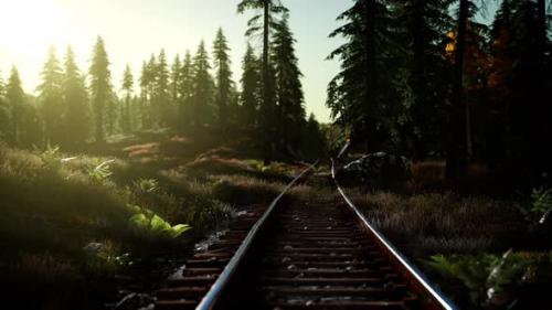 Videohive - Autumn Colours Along a Railway Track at Sunset - 47581333 - 47581333