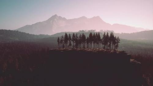 Videohive - Pine Tree Forests at the Base of Mountain in Sunny Day of Summer - 47581346 - 47581346