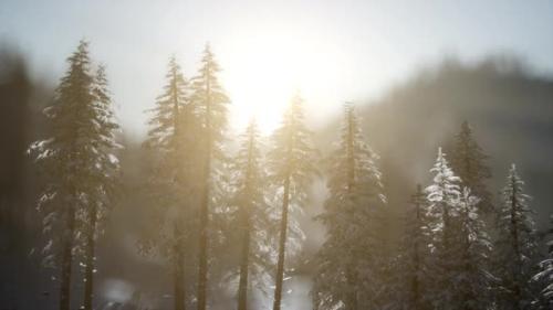 Videohive - Dramatic Winter Sunrise in the Mountains - 47581472 - 47581472