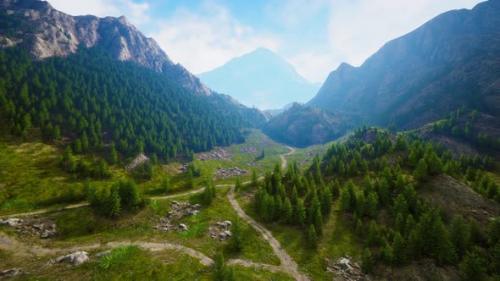 Videohive - Aerial Top View of Summer Green Trees in Forest in Swiss Alps - 47581953 - 47581953