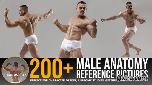 ArtStation - Grafit Studio - 200+ Male Anatomy Reference Pictures