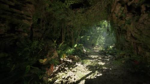 Videohive - A Mesmerizing Forest Tunnel Illuminated By Sunlight - 47592741 - 47592741