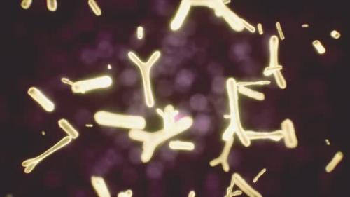 Videohive - Virus Cells or Bacterias Under Microscope - 47592862 - 47592862