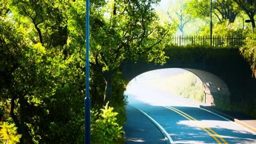 Videohive - Arch Bridge with Living Bush Branches in Park - 47581373 - 47581373