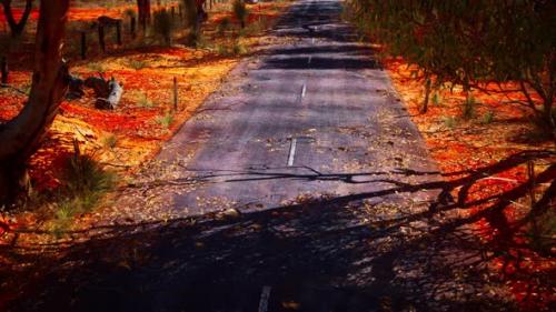 Videohive - Open Road in Australia with Bush Trees - 47581824 - 47581824