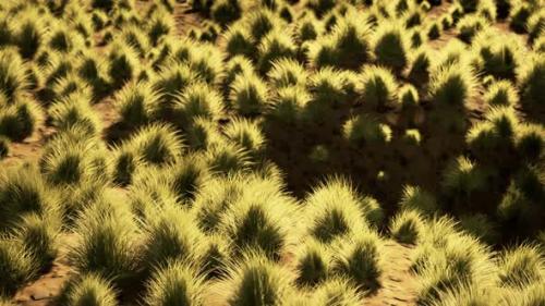 Videohive - Stoney Desert in Outback Australia - 47581852 - 47581852