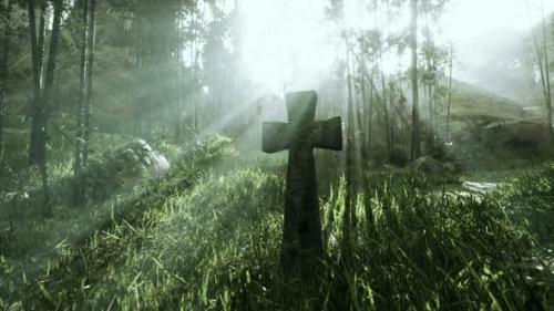 Videohive - Weatherbeaten Grave Marker in the Tropical Forest - 47592487 - 47592487