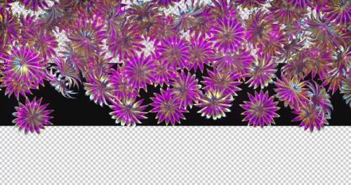 Videohive - 3d Glowing Flowers Transition - 47610057 - 47610057