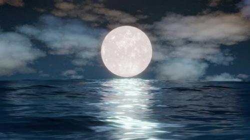 Videohive - Night Ocean - 47610221 - 47610221