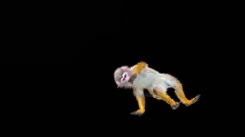 Videohive - 66 Breakdance Ending Monkey Dance HD - 47633141 - 47633141