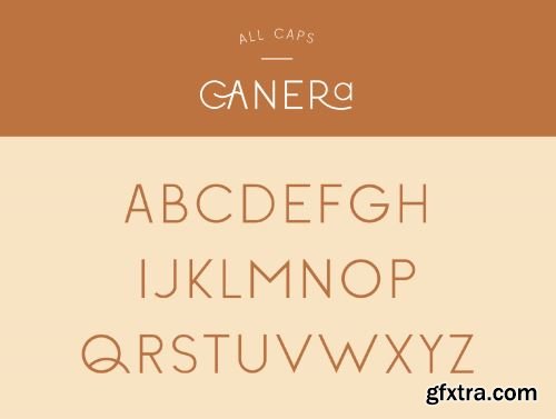 Canera - Simple Elegant Typeface Ui8.net