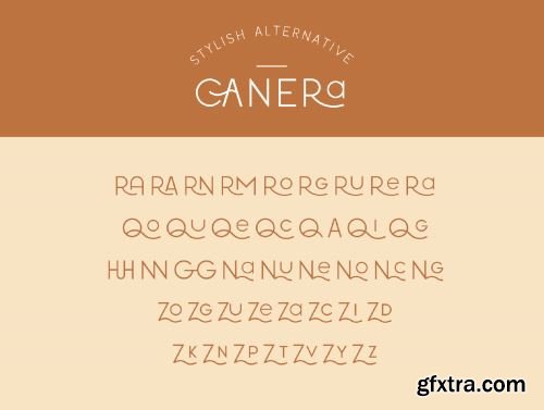 Canera - Simple Elegant Typeface Ui8.net