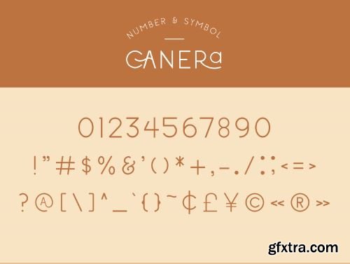 Canera - Simple Elegant Typeface Ui8.net