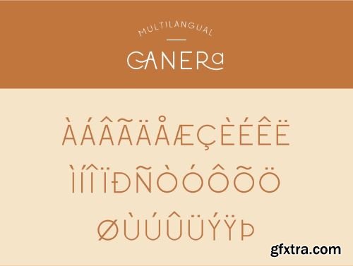 Canera - Simple Elegant Typeface Ui8.net