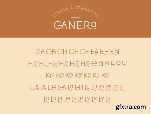 Canera - Simple Elegant Typeface Ui8.net