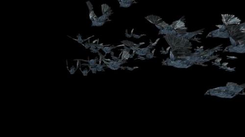 Videohive - 20 Crow Bird Bat Flying HD - 47633190 - 47633190