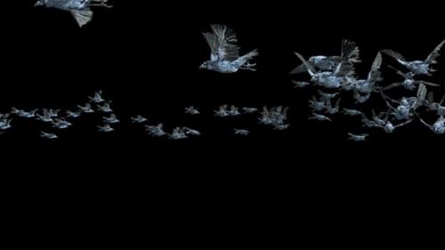 Videohive - 20 Crow Bird Bat Flying HD - 47633191 - 47633191