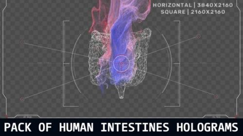 Videohive - Pack Of Human Intestines Holograms - 47599973 - 47599973