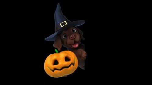 Videohive - Fun 3D cartoon Witch Labrador retriever (with alpha channel included) - 47601515 - 47601515