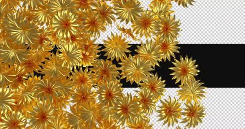 Videohive - 3d Gold Flowers Transition Animation - 47604027 - 47604027