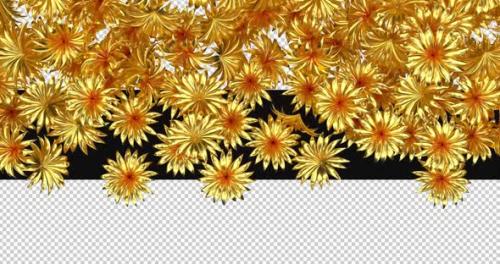 Videohive - 3d Gold Flowers Transition Animation - 47604031 - 47604031