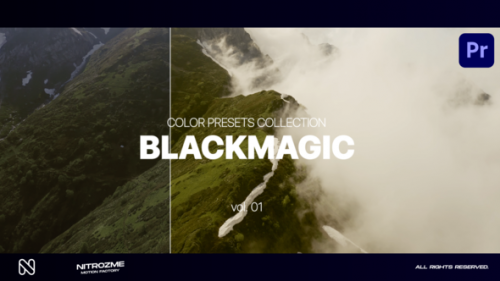 Videohive - Blackmagic LUT Collection Vol. 01 for Premiere Pro - 47632742 - 47632742