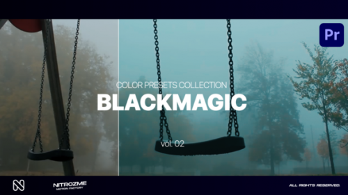 Videohive - Blackmagic LUT Collection Vol. 02 for Premiere Pro - 47632744 - 47632744