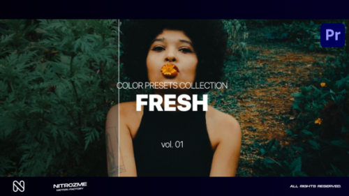 Videohive - Fresh LUT Collection Vol. 01 for Premiere Pro - 47632773 - 47632773