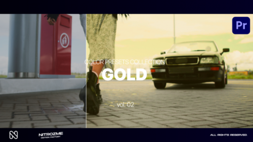 Videohive - Gold LUT Collection Vol. 02 for Premiere Pro - 47632790 - 47632790