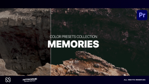 Videohive - Memories LUT Collection Vol. 01 for Premiere Pro - 47632798 - 47632798