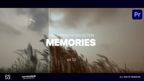 Videohive - Memories LUT Collection Vol. 02 for Premiere Pro - 47632802 - 47632802