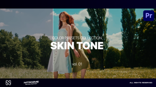 Videohive - Skin LUT Collection Vol. 01 for Premiere Pro - 47632816 - 47632816