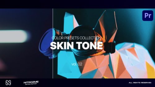 Videohive - Skin LUT Collection Vol. 02 for Premiere Pro - 47632821 - 47632821