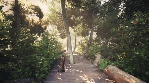 Videohive - Wooden Deck Path in the Forest - 47639402 - 47639402