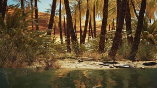 Videohive - Green Oasis with Pond in Sahara Desert - 47640042 - 47640042